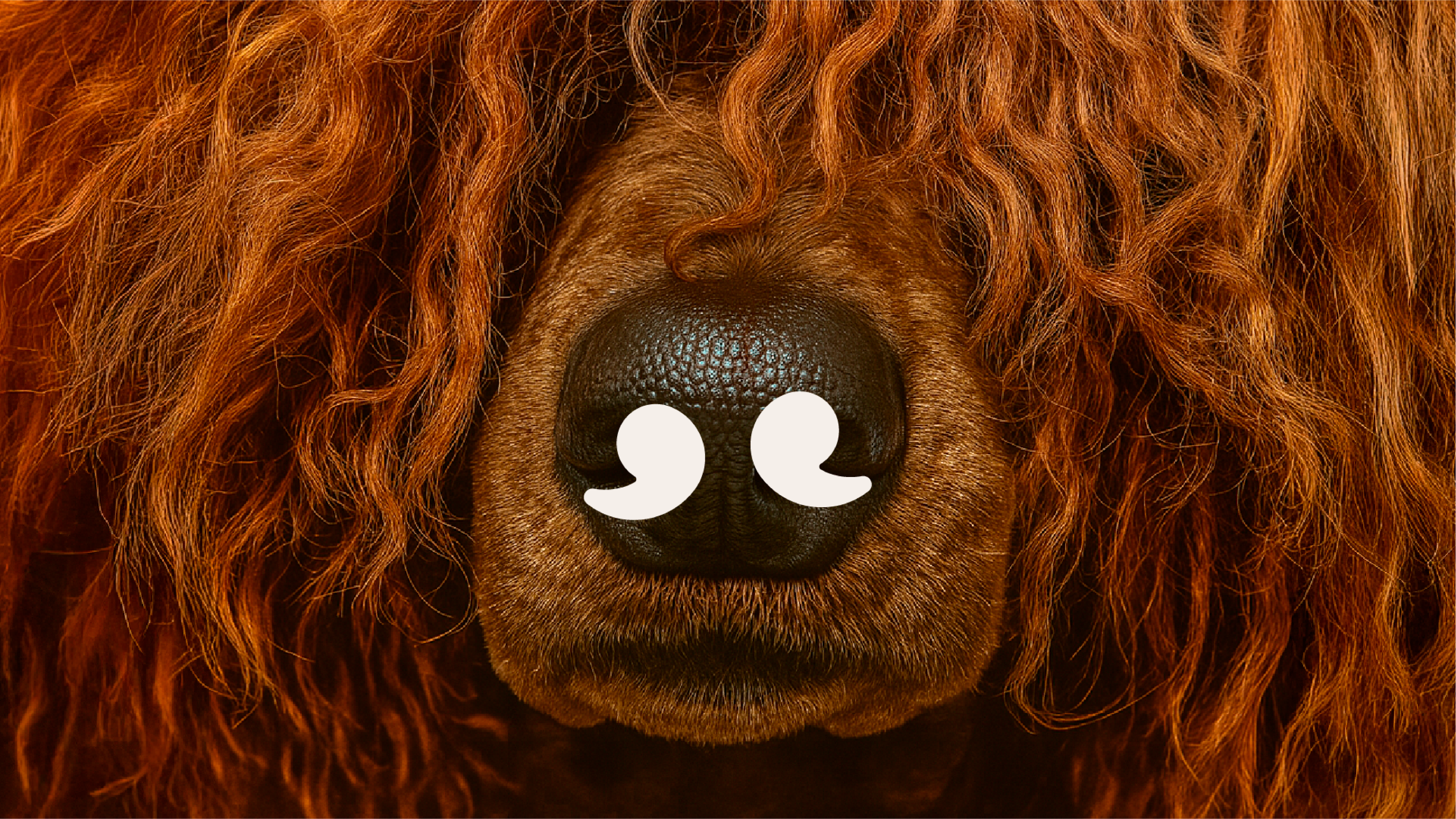 Imagen de diapositiva