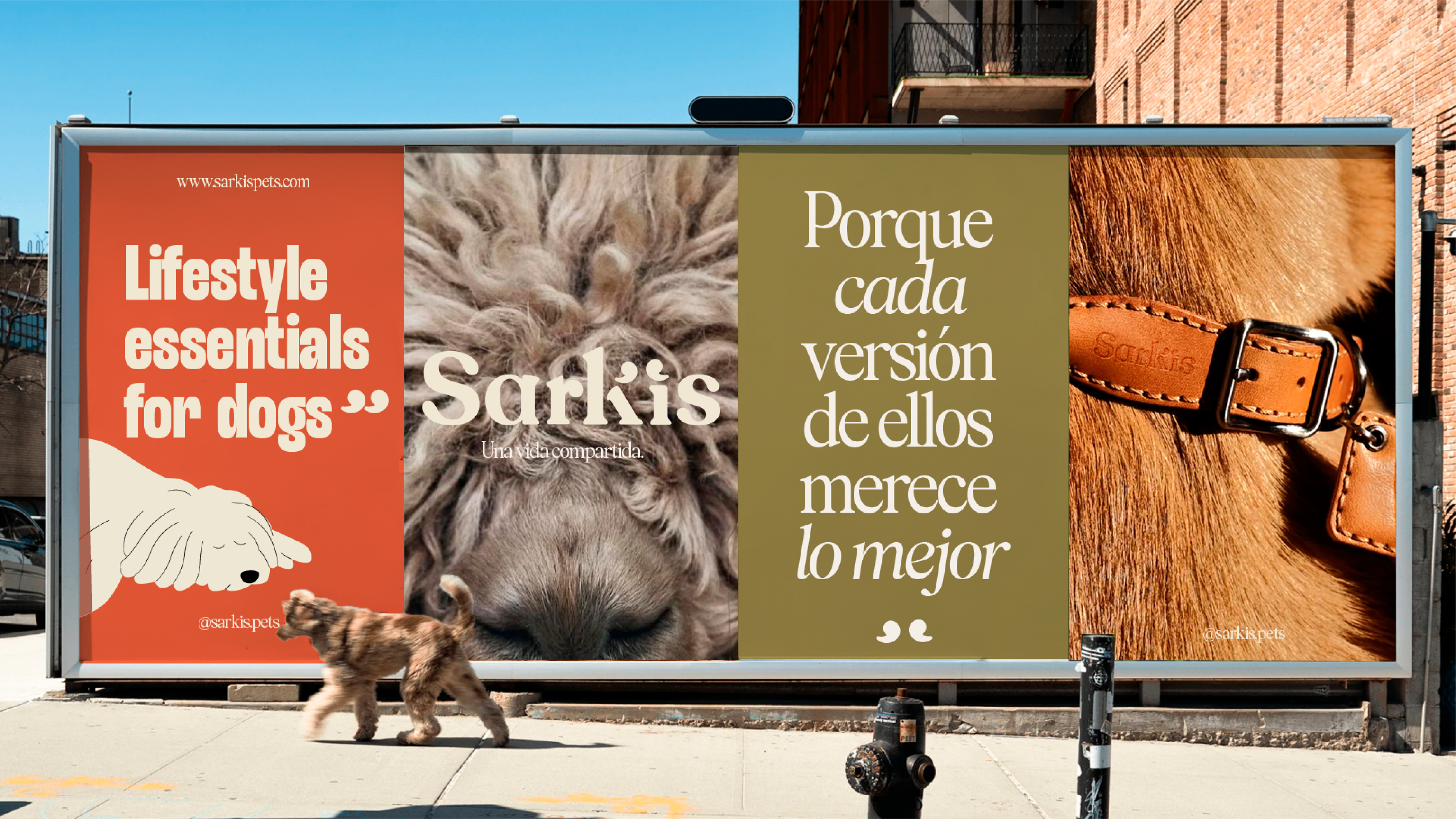 Imagen de diapositiva