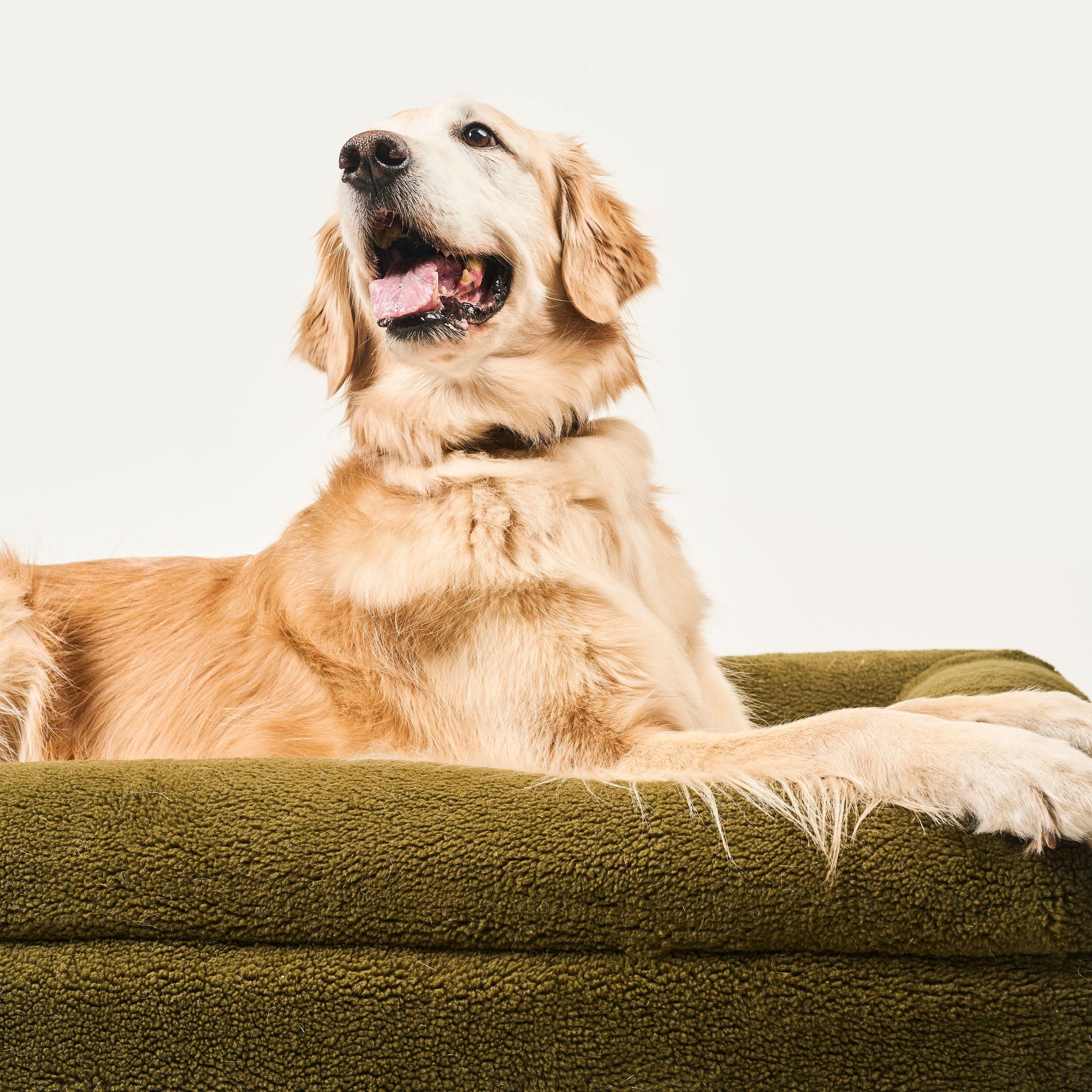 FUNDA DE PELUCHE PREMIUM VERDE OLIVA