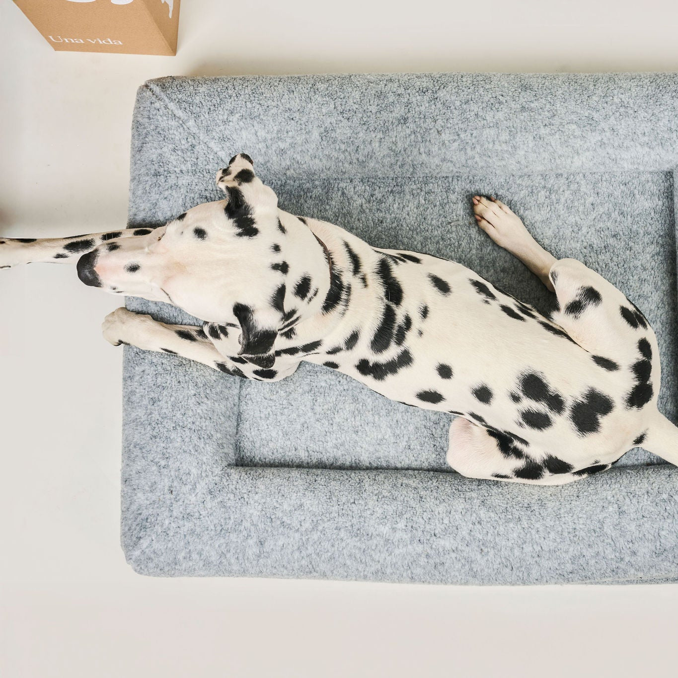 FUNDA DE PELUCHE PREMIUM GRIS