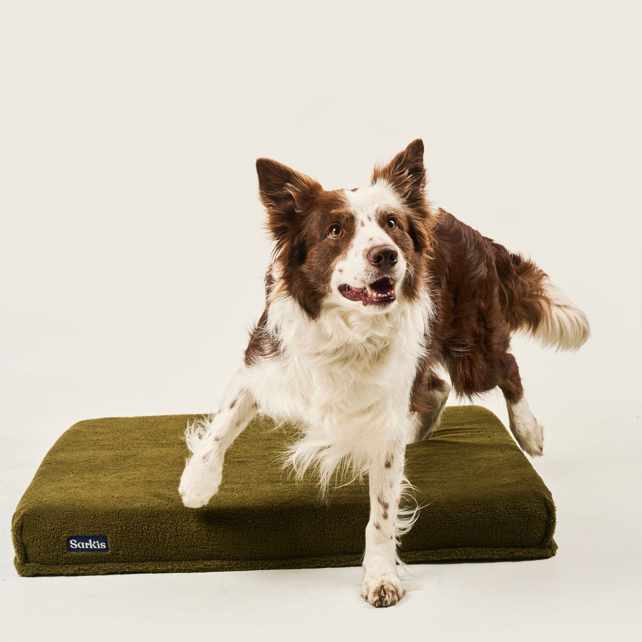 FUNDA DE PELUCHE BASIC VERDE OLIVA