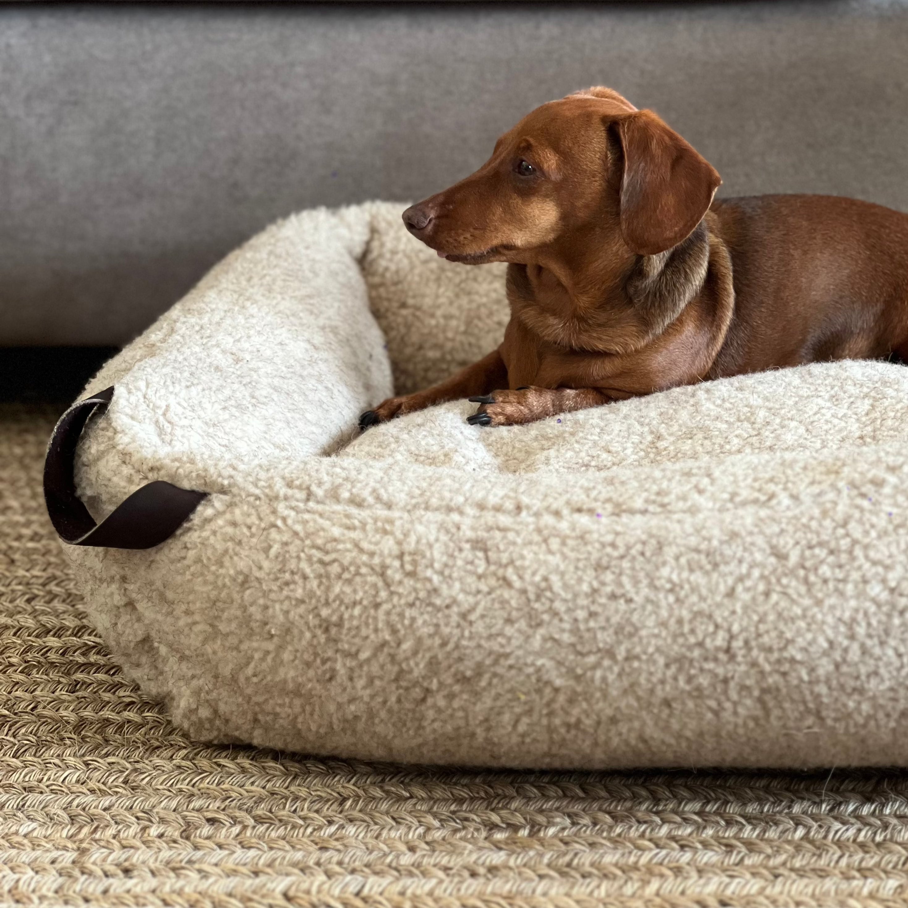 Cama Perro Pequeño Cama Donut Para Perros/gatos 70cm Peluche