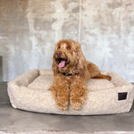 Cama para perro beige