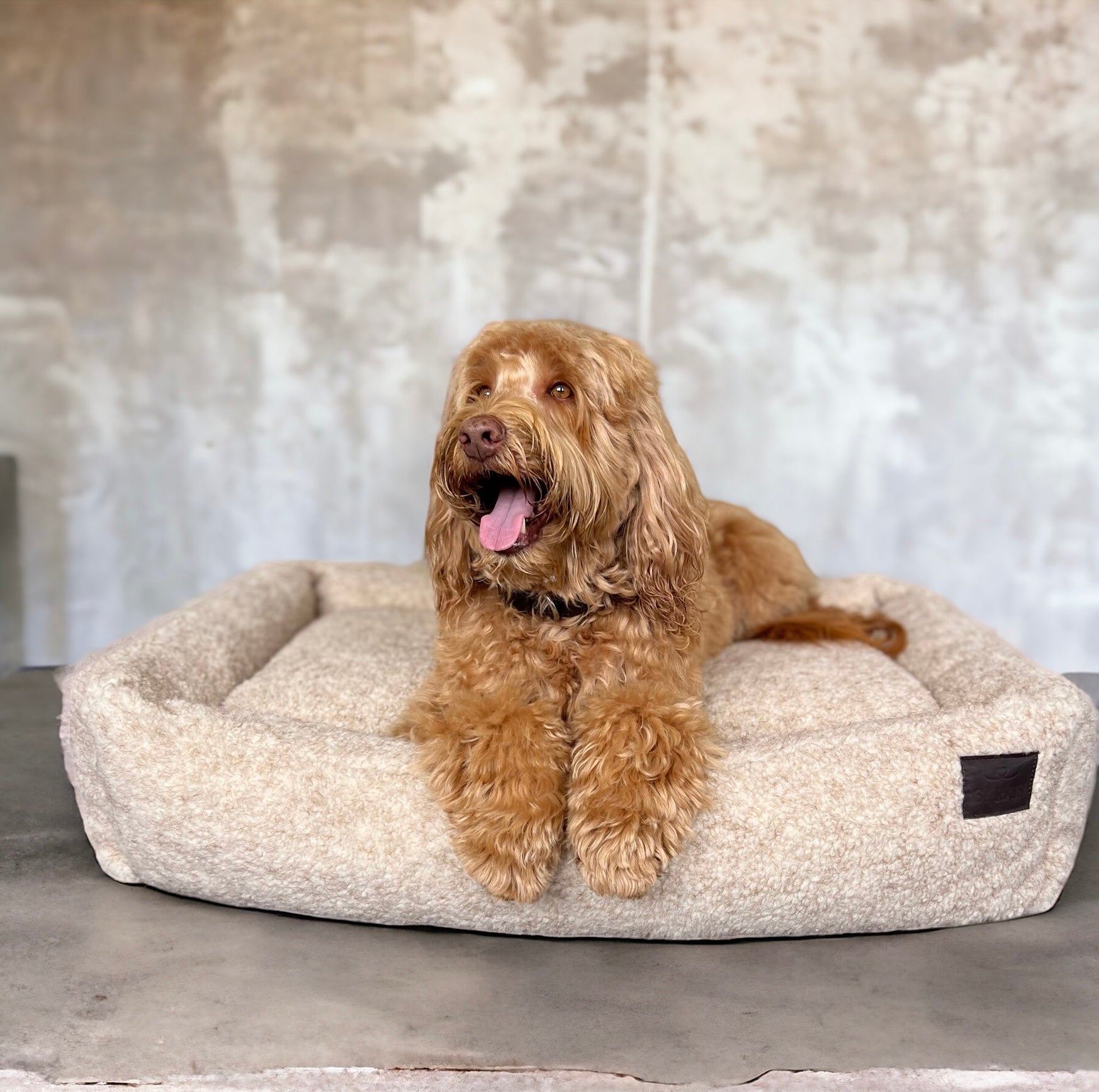 Cama para perro beige