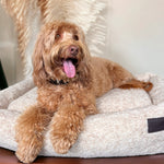 Cama para perro tipo peluche beige