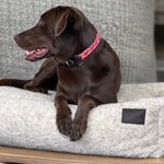Cama para perro tipo peluche gris