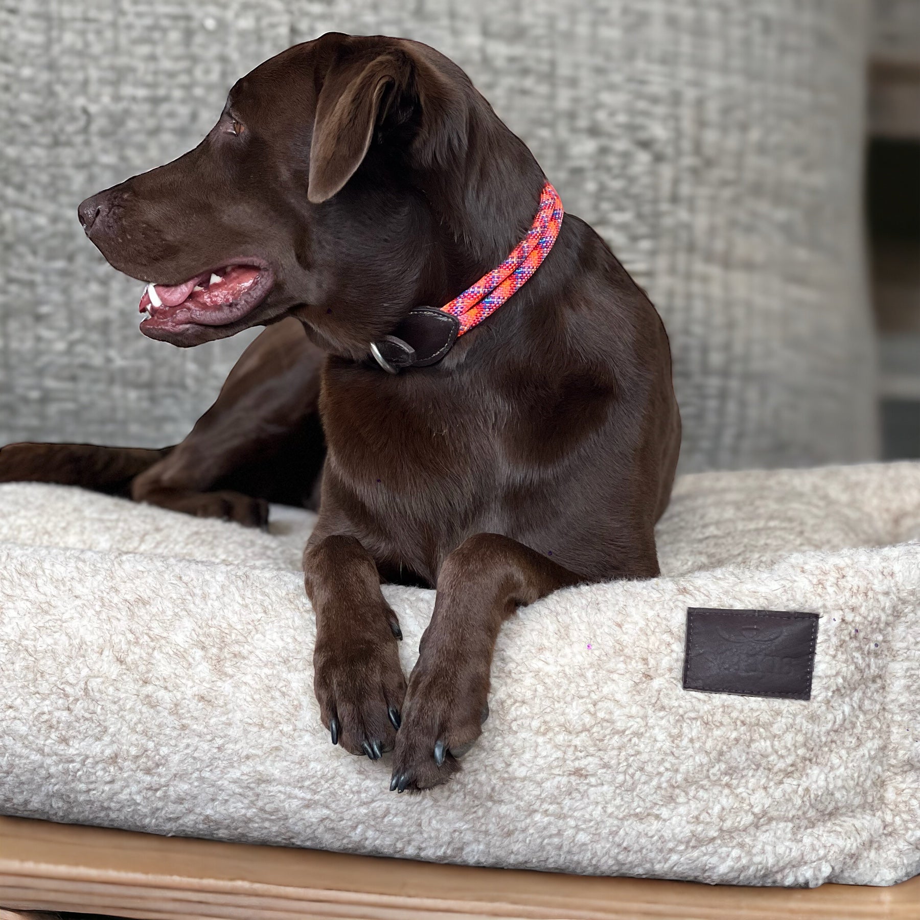 Cama para perro tipo peluche gris