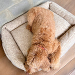 Cama para perro tipo peluche beige